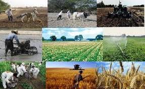 پاورپوینت بررسی نقش دهیاریها در توسعه روستایی
